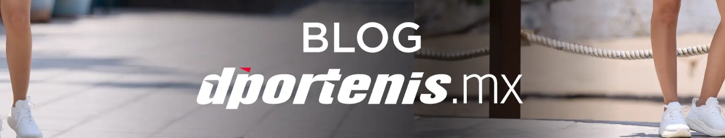 Blog banner Dportenis