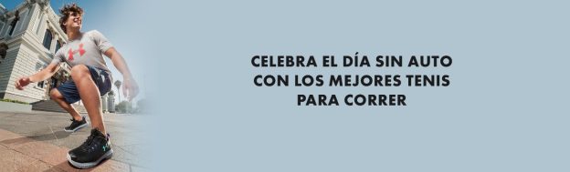 blog el día sin auto